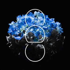 japanese大乳房子
