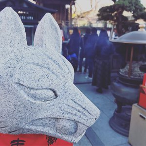 japanese大乳房子
